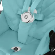 cyb24intdetajscarcalbonepu