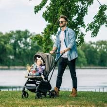 websiteb2pmusicalnaturestrollarc_1