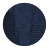 CYB_25_PL_RLDB_Color_Dot_0