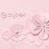 pol_pl_cybex-platinum-luxury-footmuff-spiworek-zimowy-simply-flowers-pink-54700_4